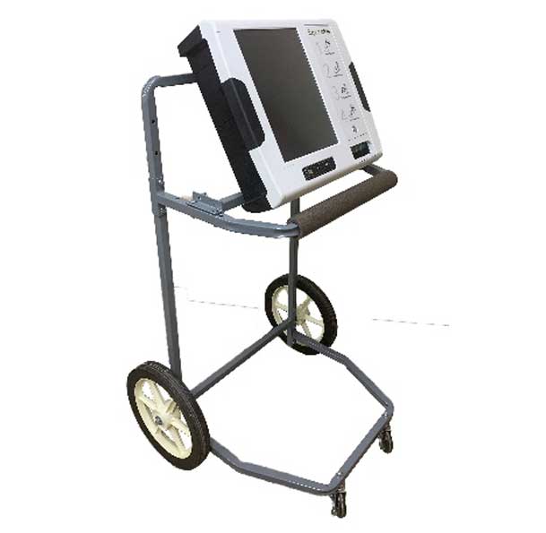curbside voting cart