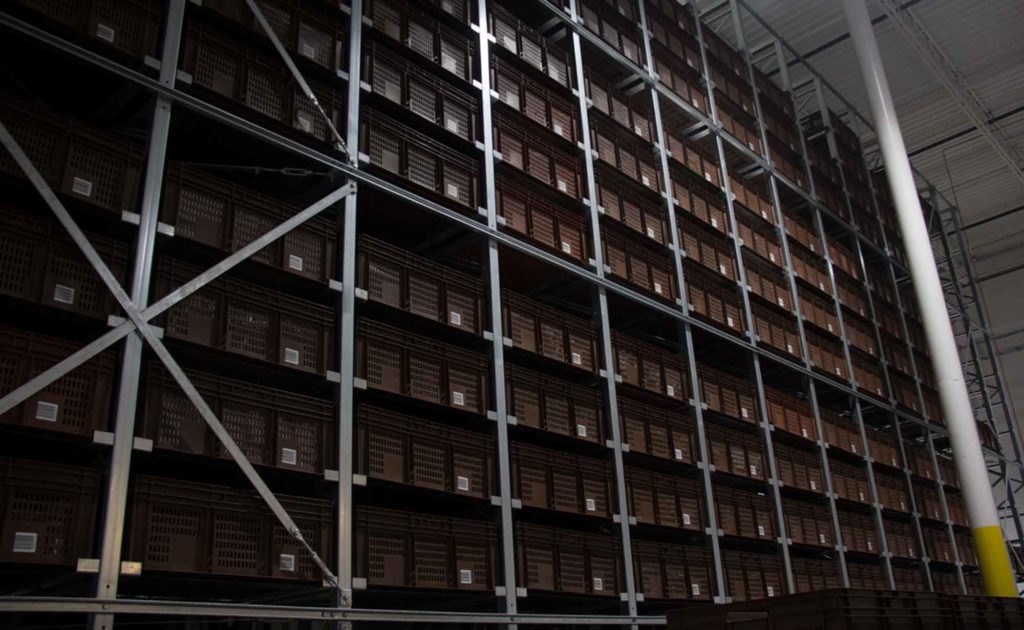 storage and retrieval system