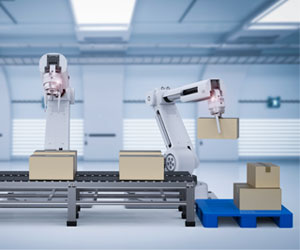 robotic palletizer and conveyor